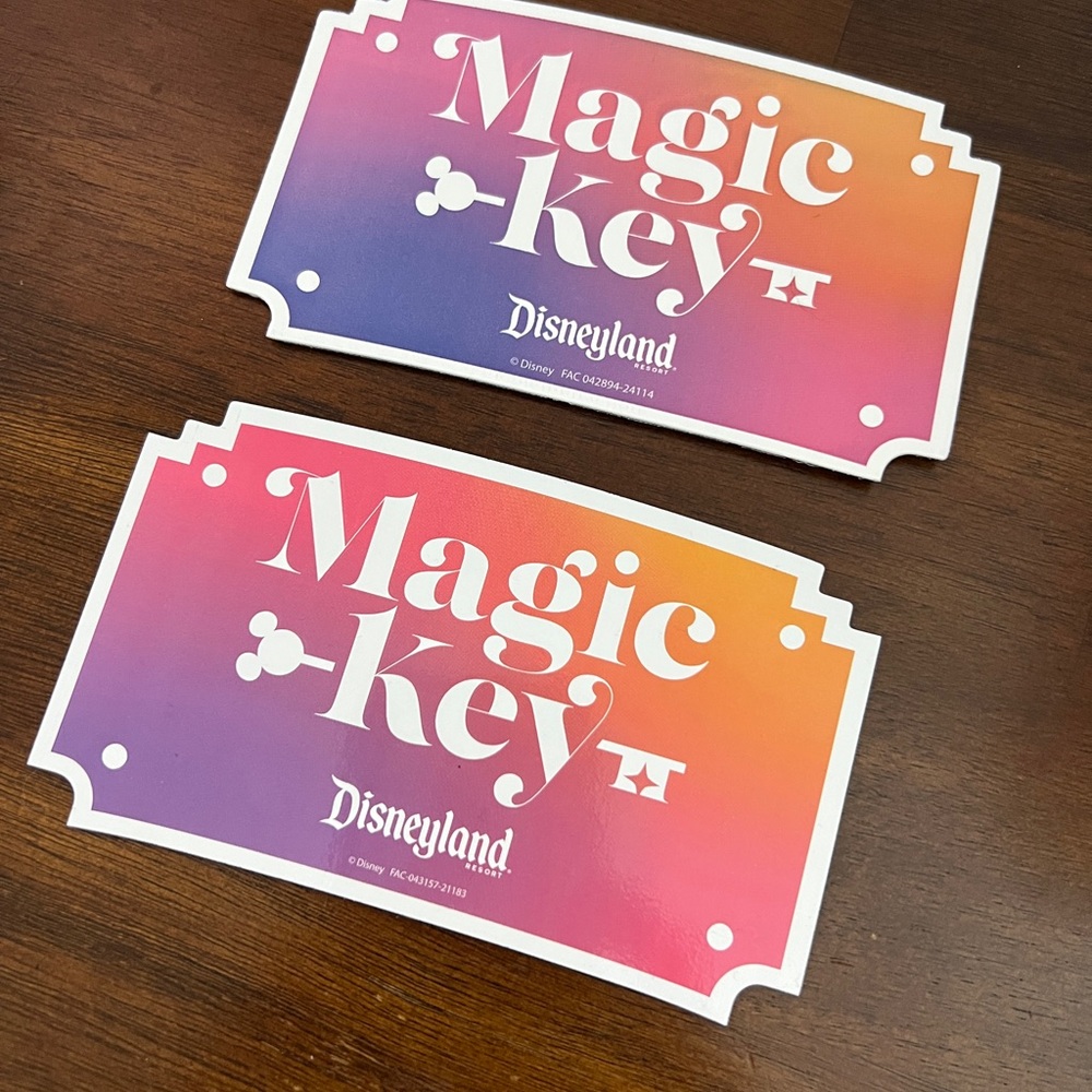 Disneyland Magic Key Colorful Magnet